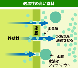 透湿性の高い塗料とは？